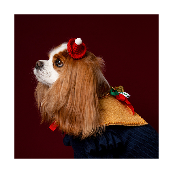 페오펫몰,X-mas Cape Camel (크리스마스 케이프 카멜)