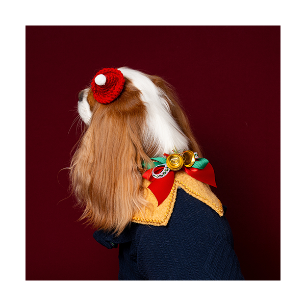 페오펫몰,X-mas Cape Camel (크리스마스 케이프 카멜)