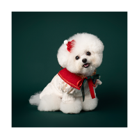 X-mas Cape Red (크리스마스 케이프 레드)