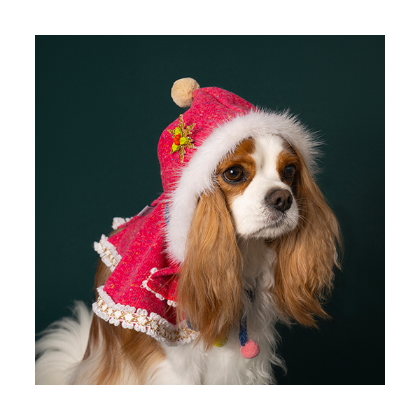 페오펫몰,Hooded Cloak Pink (후드망토 핑크)