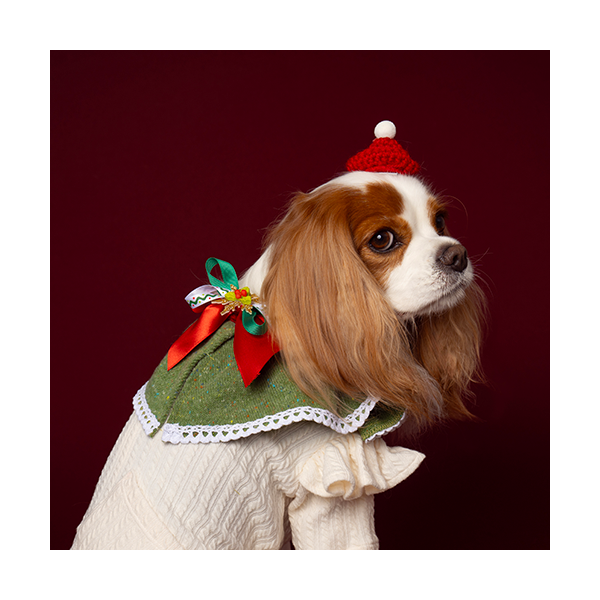 페오펫몰,Noel Cape Green (노엘 케이프 그린)