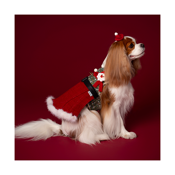 Santa Harness Dress 산타하네스 드레스