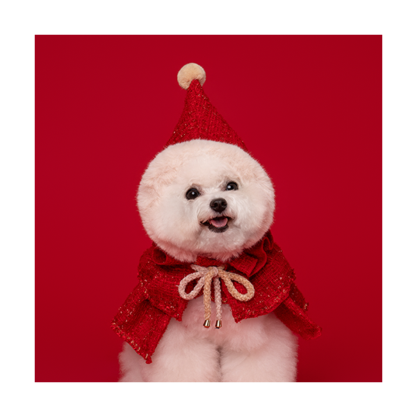 페오펫몰,Red Hood (빨간 망토)