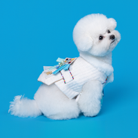 Hanbok Baeja Male Style