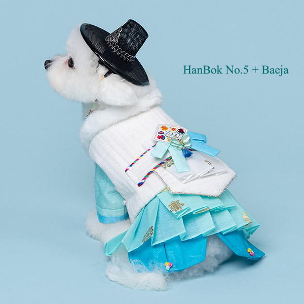 페오펫몰,Hanbok Baeja Male Style