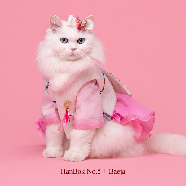 페오펫몰,Hanbok Baeja Female Style