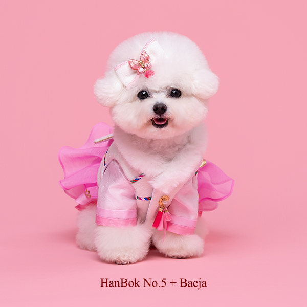 페오펫몰,Hanbok Baeja Female Style