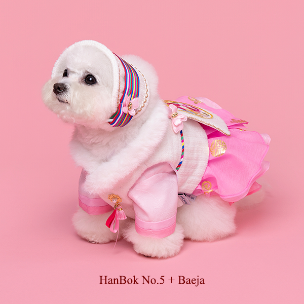 페오펫몰,Hanbok Baeja Female Style