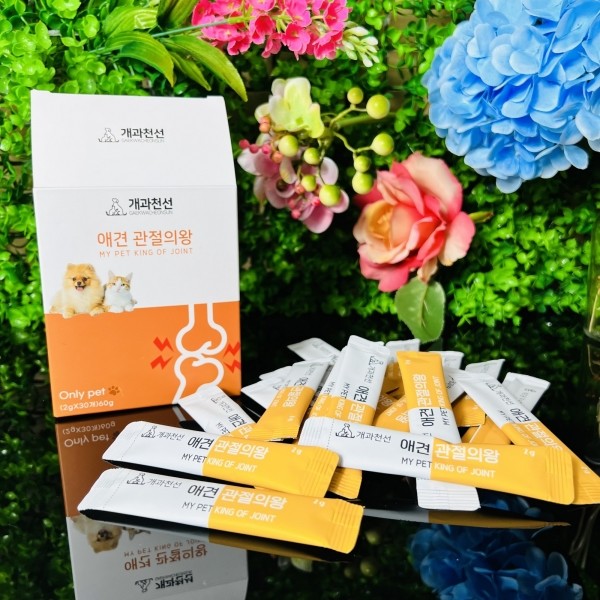개과천선 관절의 왕 관절 영양제
