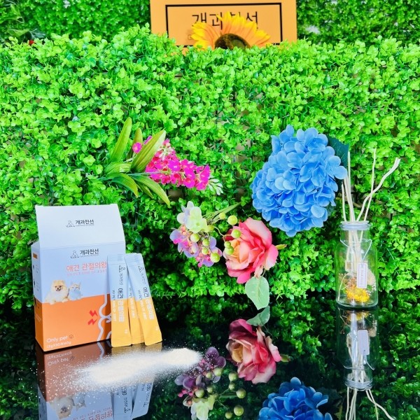 페오펫몰,개과천선 관절의 왕 관절 영양제