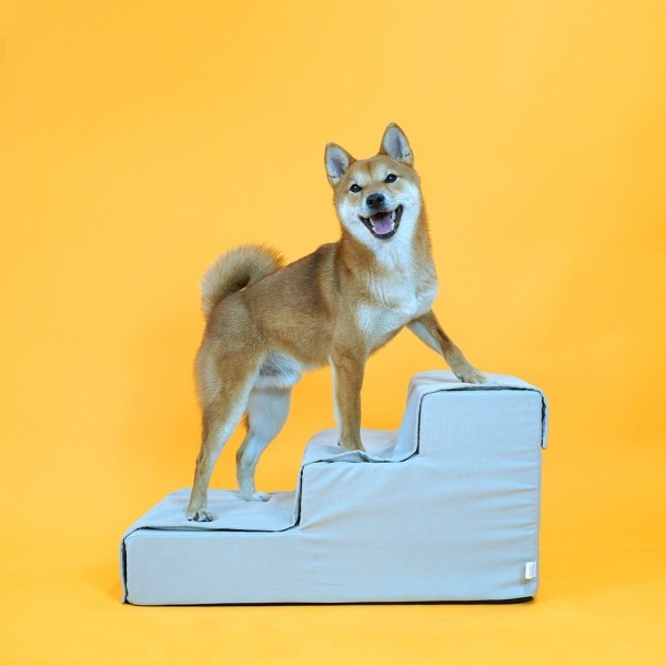 페오펫몰,개과천선 매그넛 강아지 펫스텝