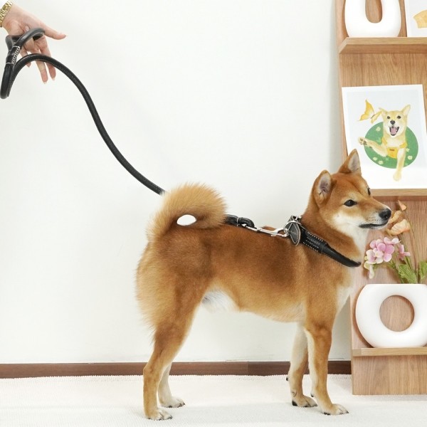 페오펫몰,개과천선 강아지 레더 리드줄