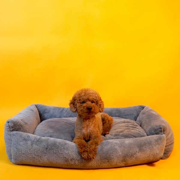 페오펫몰,개과천선 카소 애견 강아지 방석