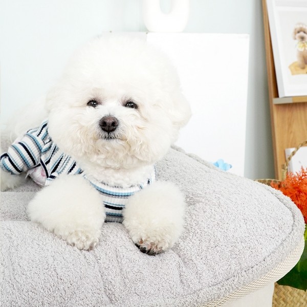 페오펫몰,개과천선 울 메쉬 강아지 사각 방석