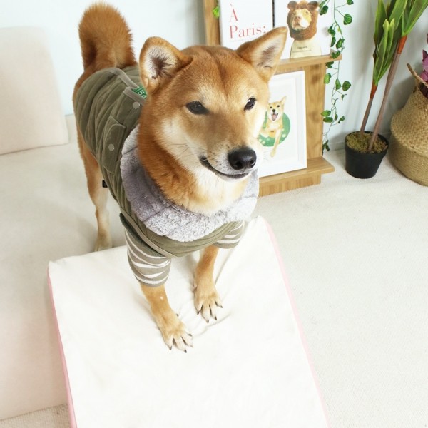 페오펫몰,개과천선 M브리 논슬립 펫스텝 강아지 슬라이드 계단