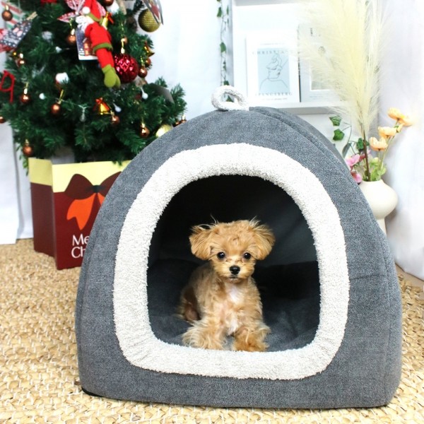 페오펫몰,개과천선 셀리 강아지 하우스