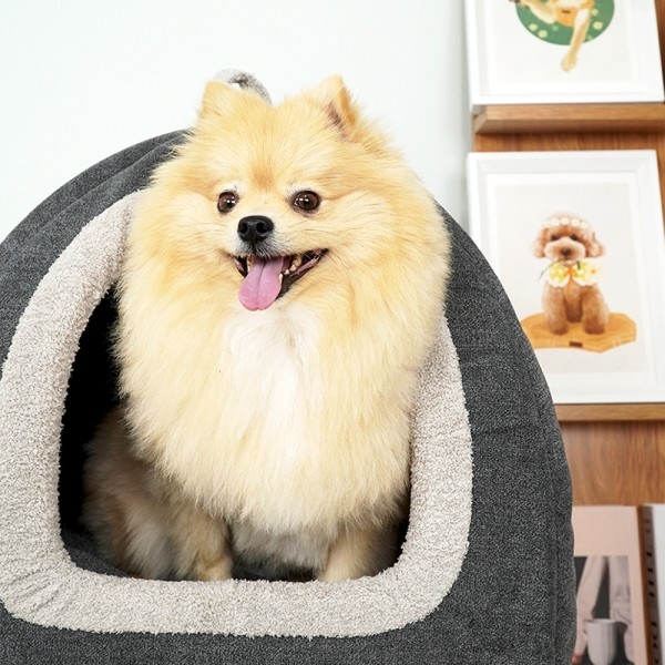 페오펫몰,개과천선 셀리 강아지 하우스