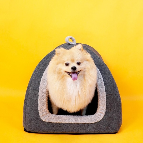 페오펫몰,개과천선 셀리 강아지 하우스