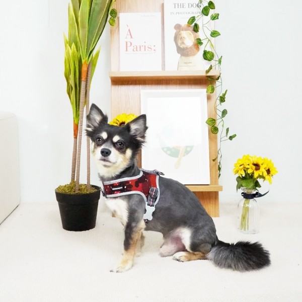 페오펫몰,개과천선 트라이 강아지 하네스 2중 연결 L형