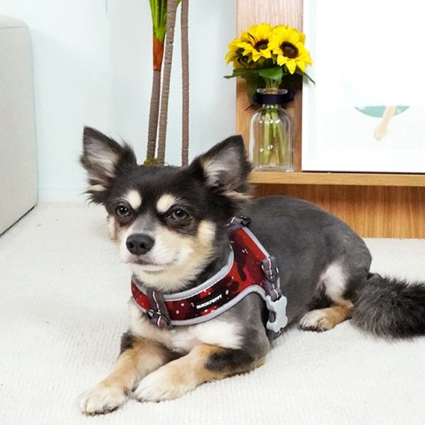 페오펫몰,개과천선 트라이 강아지 하네스 2중 연결 L형