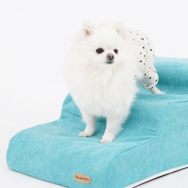 페오펫몰,개과천선 페인터 강아지 펫스텝