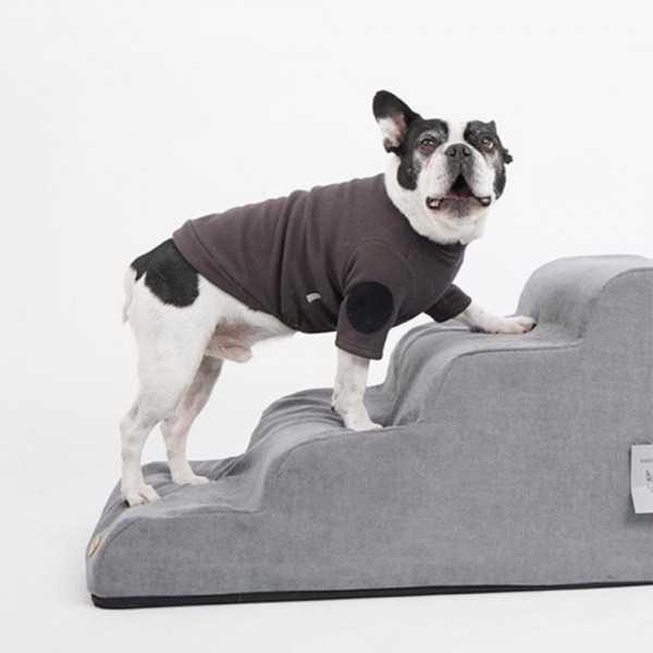 페오펫몰,개과천선 페인터 강아지 펫스텝