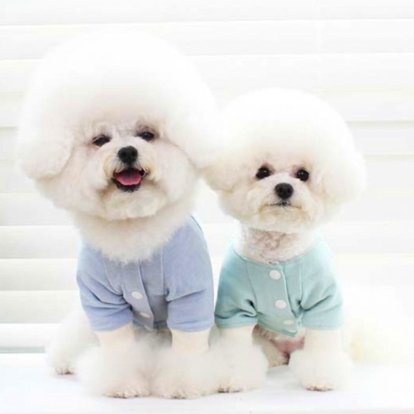 페오펫몰,개과천선 캔디 펍 강아지 자켓