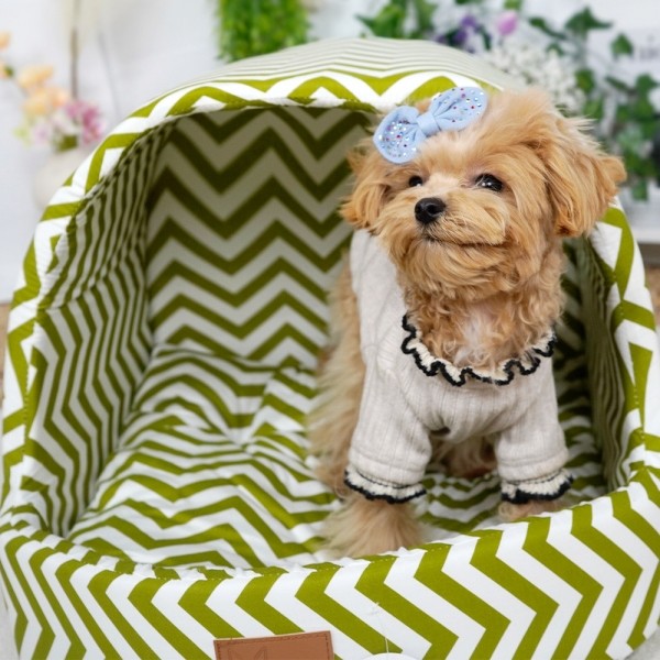 페오펫몰,개과천선 퍼프돔 강아지 하우스 그린티