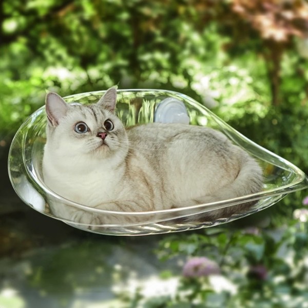 페오펫몰,개과천선 버블 캣 해먹 고양이 침대