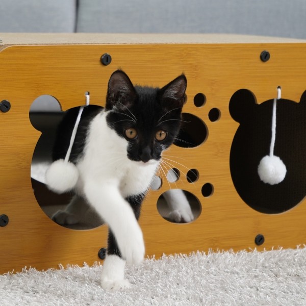 페오펫몰,개과천선 어몽드 니쿠마 스크래쳐 원목 하우스