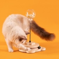 개과천선 탭핑볼 고양이 터치볼 장난감