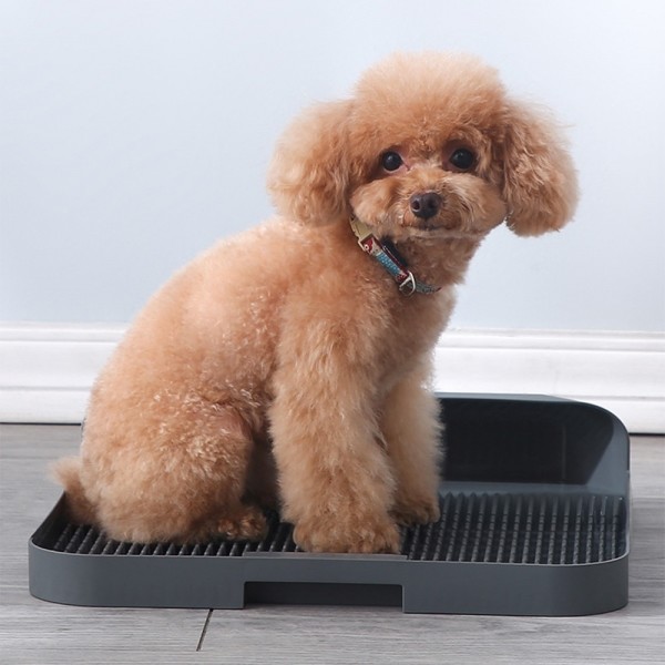 페오펫몰,개과천선 체이크 강아지 배변판