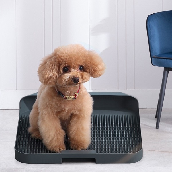 페오펫몰,개과천선 체이크 강아지 배변판