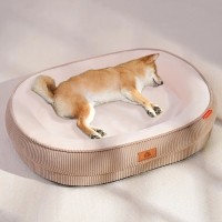 개과천선 블리스터 강아지 방석