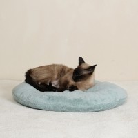 개과천선 벨베티 고양이 쿠션 방석