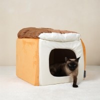 개과천선 스퀘어 브레드 고양이 하우스