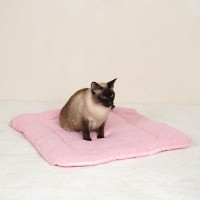 개과천선 캔버스 고양이 쿠션