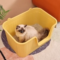 개과천선 이어라인 캣 고양이 토일렛 모래삽 포함 옐로우