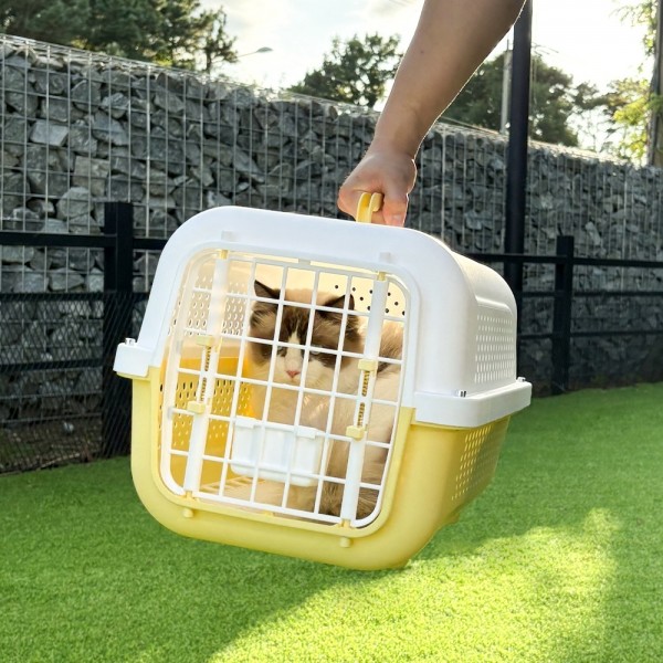 페오펫몰,개과천선 클라바 강아지 켄넬 이동장