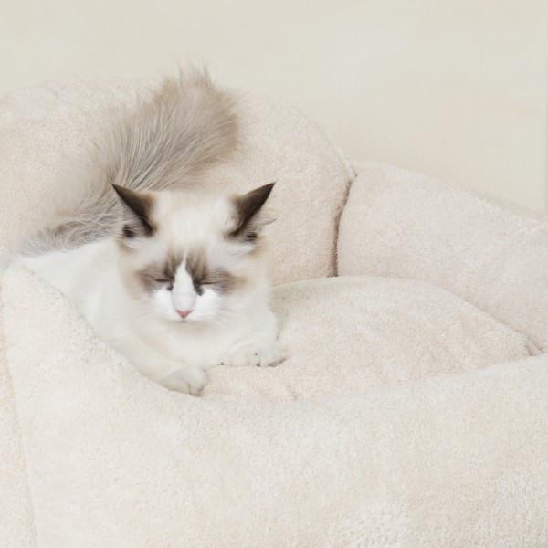 페오펫몰,개과천선 러비나 쿠션 강아지 방석