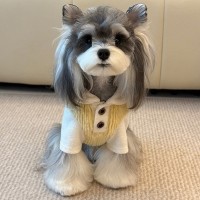 개과천선 베비 벨벳 반려동물 맨투맨