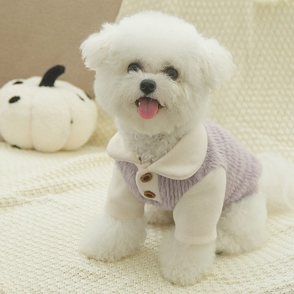 페오펫몰,개과천선 베비 벨벳 반려동물 맨투맨