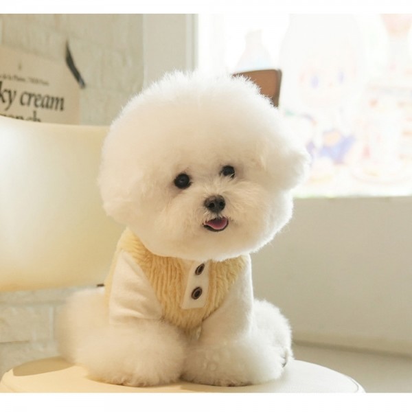 페오펫몰,개과천선 베비 벨벳 반려동물 맨투맨