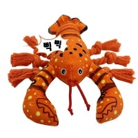 개과천선 가재 삑삑이 노즈워크 강아지 장난감