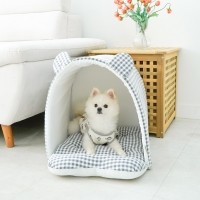 [감사특가] 개과천선 테디오 반려동물 하우스