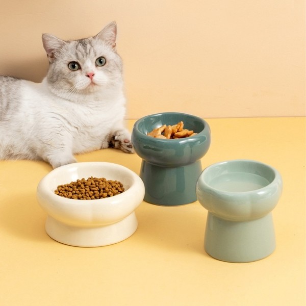 페오펫몰,개과천선 비비볼 세라믹 반려동물 식기