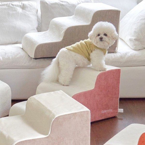 페오펫몰,개과천선 벨로우 펫스텝