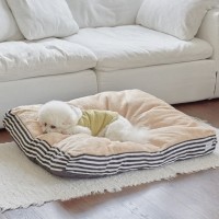 개과천선 벨루네 강아지 대형 쿠션 고양이 방석