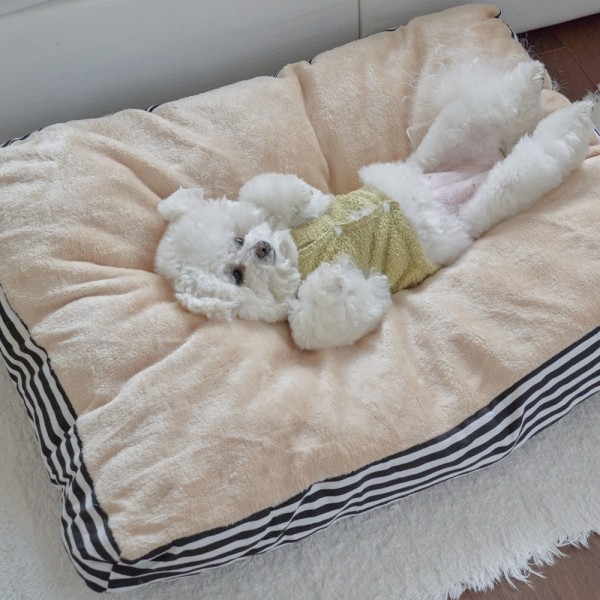 페오펫몰,개과천선 벨루네 강아지 대형 쿠션 고양이 방석