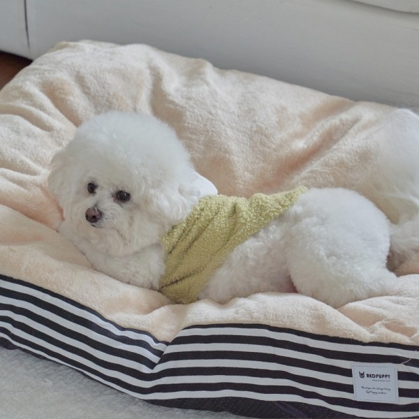 페오펫몰,개과천선 벨루네 강아지 대형 쿠션 고양이 방석